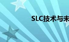 SLC技术与未来发展趋势