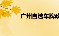 广州自选车牌政策及流程详解