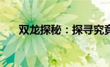 双龙探秘：探寻究竟如何的神秘之旅！