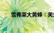雪弗莱大黄蜂：美式力量的独特诠释