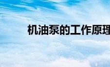 机油泵的工作原理与性能特点解析
