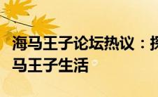 海马王子论坛热议：探索驾驶新体验，共享海马王子生活