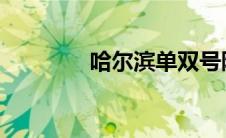 哈尔滨单双号限行政策详解