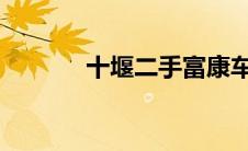 十堰二手富康车市场深度解析