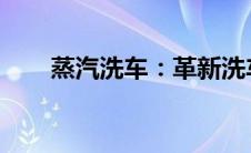 蒸汽洗车：革新洗车方式的全新体验