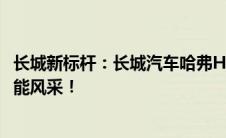 长城新标杆：长城汽车哈弗H6豪华登场，诠释硬核动力与智能风采！