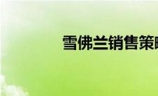 雪佛兰销售策略与业绩分析