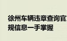 徐州车辆违章查询官方网站——您的交通违规信息一手掌握