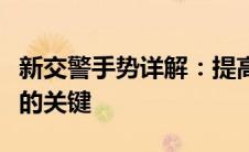 新交警手势详解：提高交通指挥效率与安全性的关键