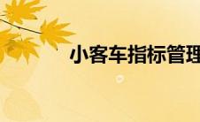 小客车指标管理系统全面解析