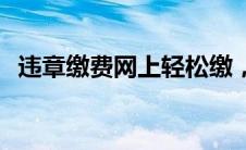 违章缴费网上轻松缴，步骤详解一网打尽！