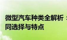 微型汽车种类全解析：从经济型到豪华型的不同选择与特点