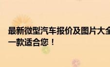 最新微型汽车报价及图片大全：精选车型、价格透明，总有一款适合您！