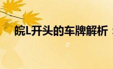 皖L开头的车牌解析：背后的故事与意义