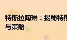 特斯拉陶琳：揭秘特斯拉成功背后的关键人物与策略