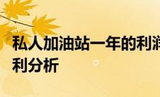 私人加油站一年的利润揭秘：收入、支出与盈利分析