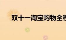 双十一淘宝购物全程价保，购物无忧！