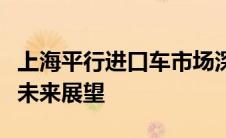 上海平行进口车市场深度解析：趋势、特点与未来展望